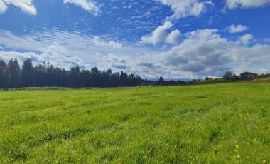 Parcelas de 5.000 m² en María Pinto con red de luz y agua operativas, portería habilitada y rol propio