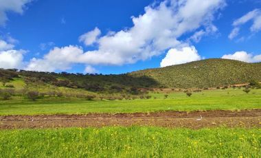 Parcelas de 5.000 m² en María Pinto con red de luz y agua operativas, portería habilitada y rol propio