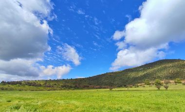 Parcelas de 5.000 m² en María Pinto con red de luz y agua operativas, portería habilitada y rol propio
