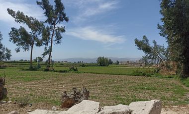 VENDO TERRENO AGRICOLA 28000M2 EN  IRRIGACION ZAMACOLA VIA EVITAMIENTO