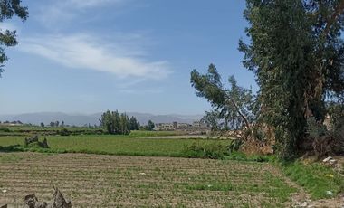 VENDO TERRENO AGRICOLA 28000M2 EN  IRRIGACION ZAMACOLA VIA EVITAMIENTO