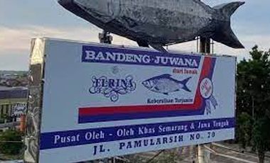 Rumah View Laut Selangkah Dari Bandeng Juwana Pamularsih Semarang