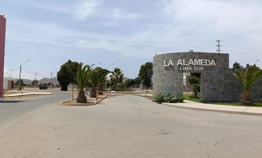 ¡Gran Oportunidad de Inversión en Chilca!