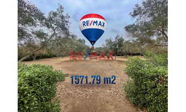 Venta De Terreno De 1571 M² En Pucusana - Condominio El Olivar