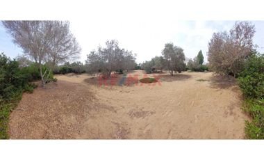 Venta De Terreno De 1571 M² En Pucusana - Condominio El Olivar