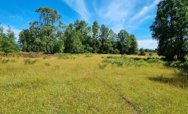 TERRENO 17 HECTAREAS,  CAÑITAS-LOS MUERMOS,  REGION DE LOS LAGOS