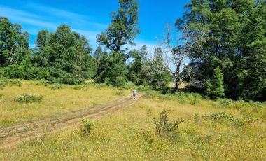 TERRENO 17 HECTAREAS,  CAÑITAS-LOS MUERMOS,  REGION DE LOS LAGOS