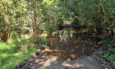 TERRENO 17 HECTAREAS,  CAÑITAS-LOS MUERMOS,  REGION DE LOS LAGOS