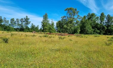TERRENO 17 HECTAREAS,  CAÑITAS-LOS MUERMOS,  REGION DE LOS LAGOS