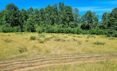 TERRENO 17 HECTAREAS,  CAÑITAS-LOS MUERMOS,  REGION DE LOS LAGOS