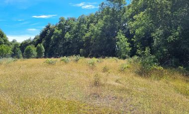 TERRENO 17 HECTAREAS,  CAÑITAS-LOS MUERMOS,  REGION DE LOS LAGOS