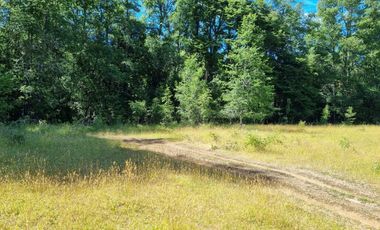 TERRENO 17 HECTAREAS,  CAÑITAS-LOS MUERMOS,  REGION DE LOS LAGOS