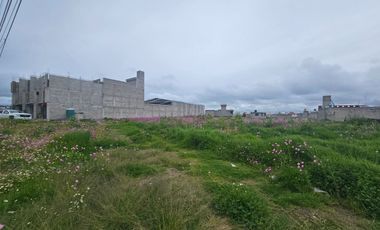 Terreno en Renta en Calzada del Pacifico Zinancantepec Santa Maria Cuauhtenco