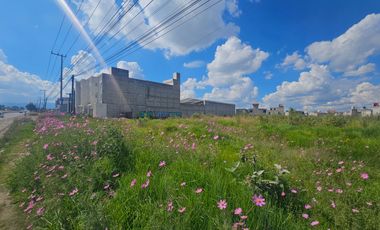 Terreno en Renta en Calzada del Pacifico Zinancantepec Santa Maria Cuauhtenco