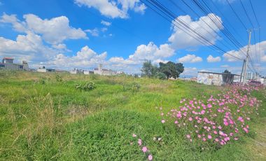 Terreno en Renta en Calzada del Pacifico Zinancantepec Santa Maria Cuauhtenco