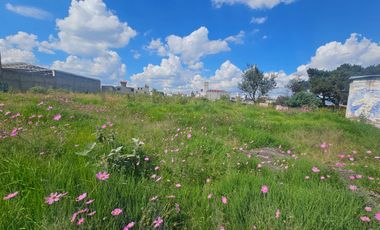 Terreno en Renta en Calzada del Pacifico Zinancantepec Santa Maria Cuauhtenco