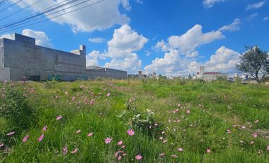 Terreno en Renta en Calzada del Pacifico Zinancantepec Santa Maria Cuauhtenco
