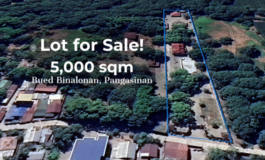 House for sale in Pangasinan, Binalonan