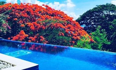 FOR RENT SERVICED APARTMENT JUST NEARBY THE BEACH IN NASUGBU BATANGAS