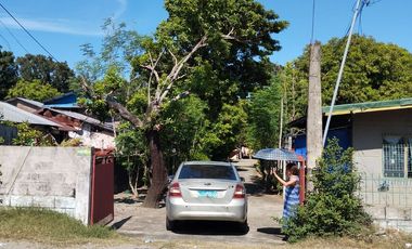House and Lot for Sale in Binmaley, Pangasinan