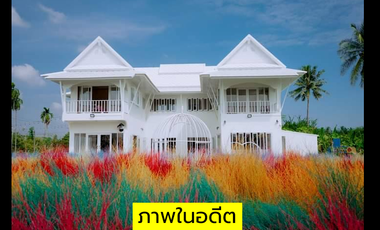 Proven Opportunity! Earn 1 Million THB Monthly!    For Sale! Developed Land with a Home Café   Located on Phetkasem Road, Tha Yang, Phetchaburi. Perfe