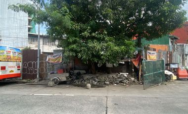 Lot for Sale in Sta Cruz, Manila
