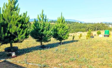 Hermosa Parcela En Condominio, En Chol Chol!