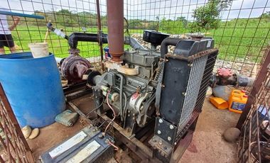 SE VENDE FINCA CACAOTERA EN PRODUCCIÓN 16 HAS.  LA SAIBA - VIA MOCACHE - VINCES - LOS RIOS - ECUADOR