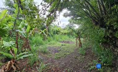 Se vende lote plano y urbano en Catamayo