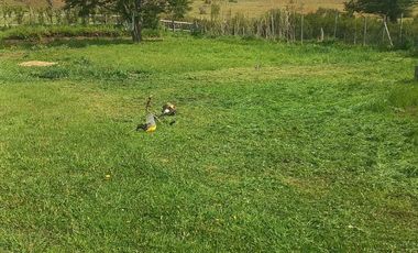 VENDO PARCELA CON 2 CASAS, DISTANTE A 5 KILÓMETROS DE LA PLAZA DE COYHAIQUE - CAMINO A LAS BANDURRIAS.-