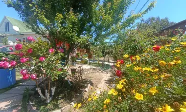 Venta De Casa En Punta De Tralca