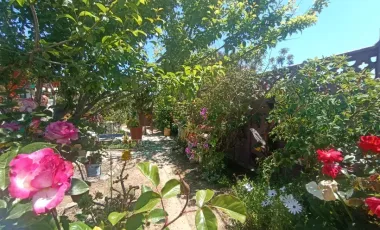 Venta De Casa En Punta De Tralca