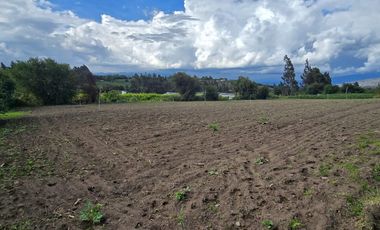 TERRENOS EN ANDIGNATO
