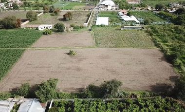TERRENOS EN ANDIGNATO