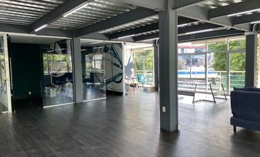 EXLCLUSIVOS EN ROMA NORTE