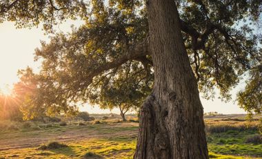 TERRENOS EN VENTA - RUTA DEL VINO CUMBRES RESIDENCIAL