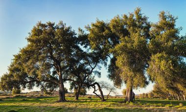 TERRENOS EN VENTA - RUTA DEL VINO CUMBRES RESIDENCIAL