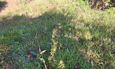 VENDO TERRENO SEMIPLANO  EN BARBOSA ANTIOQUIA.