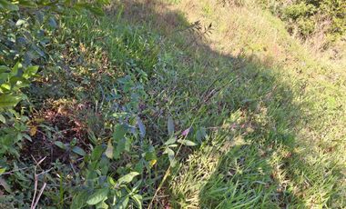 VENDO TERRENO SEMIPLANO  EN BARBOSA ANTIOQUIA.