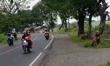 Di jual :   3000 M2 Gudang Eks Pabrik Batu, Luas Tanah 16800 M2 Mainroad Bandung-Cirebon, Majalengka