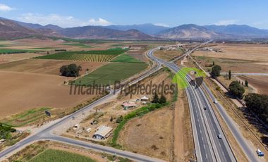 Venta de terreno de 2 hectáreas en Pan de Azúcar, Coquimbo. $370 millones