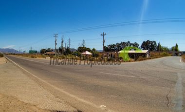 Venta de terreno de 2 hectáreas en Pan de Azúcar, Coquimbo. $370 millones