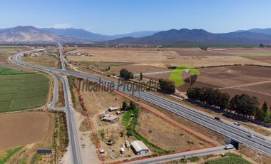 Venta de terreno de 2 hectáreas en Pan de Azúcar, Coquimbo. $370 millones