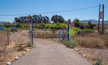 Venta de terreno de 2 hectáreas en Pan de Azúcar, Coquimbo. $370 millones
