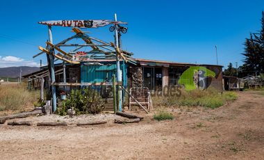 Venta de terreno de 2 hectáreas en Pan de Azúcar, Coquimbo. $370 millones