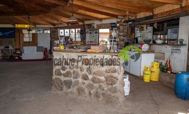 Venta de terreno de 2 hectáreas en Pan de Azúcar, Coquimbo. $370 millones