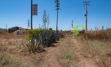 Venta de terreno de 2 hectáreas en Pan de Azúcar, Coquimbo. $370 millones