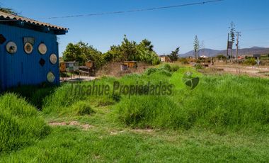 Venta de terreno de 2 hectáreas en Pan de Azúcar, Coquimbo. $370 millones