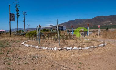 Venta de terreno de 2 hectáreas en Pan de Azúcar, Coquimbo. $370 millones
