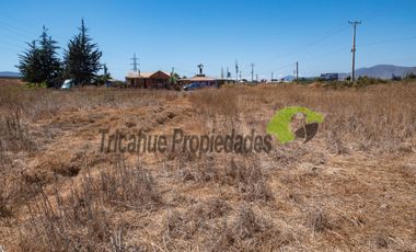 Venta de terreno de 2 hectáreas en Pan de Azúcar, Coquimbo. $370 millones